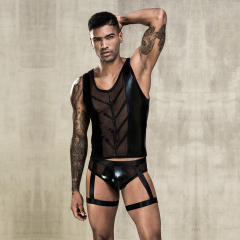 Wholesale Gay Club Wear Mesh Lingerie For Men Sexy Costume PQ7233