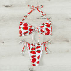 Watermelon Print Bikini Women Sexy Swimwear Halter Beachwear PQ1642