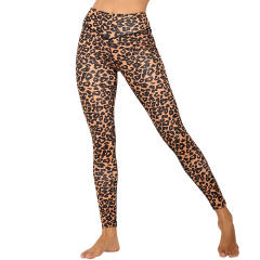Leopard Print Yoga Outfit Sexy Female Workout Sport Bra With Leggings PQ9228