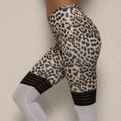 Leopard Print Yoga Pant Sexy Female Mesh Patchwork Yoga Outfit PQ9229