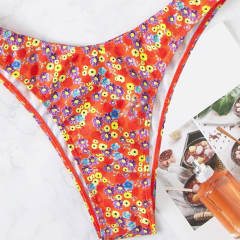 Underwire Bra Bikini Set For Lady Water Sports Wear Beach Equipment PQX2-24