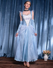 Blue Satin Snow Princess Fancy Dress For Women Cartoon Movie Costume PQ9243B