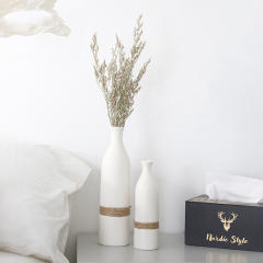 Ins Ceramic Vase Matte Home Ornaments Handmade Decoration PQ-TNTCSS