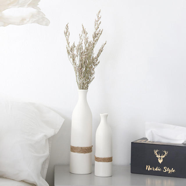 Ins Ceramic Vase Matte Home Ornaments Handmade Decoration PQ-TNTCSS