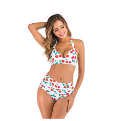 Wholesale Women Floral Bikinis Push Up Swimwear Sexy Beachwear PQ-FRW-02B