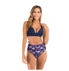 Wholesale Women Floral Bikinis Push Up Swimwear Sexy Beachwear PQ-FRW-02B