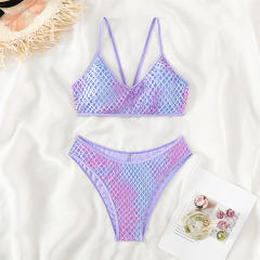 Wholesale Female Gradient Color Bikinis Mesh Swimwear Sexy Beachwear PQ23213
