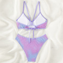 Wholesale Female Gradient Color Bikinis Mesh Swimwear Sexy Beachwear PQ23213