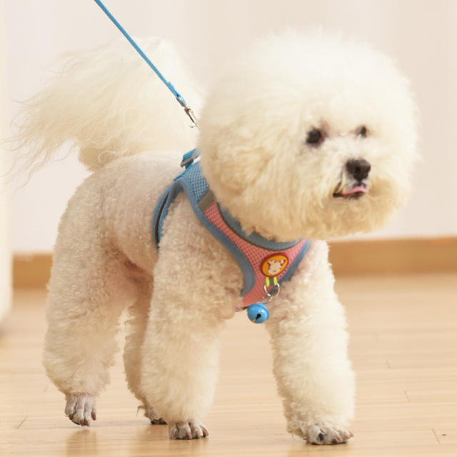 Dog Leash Small Dog Vest Teddy Bichon Breathable Chest Harness PQ888