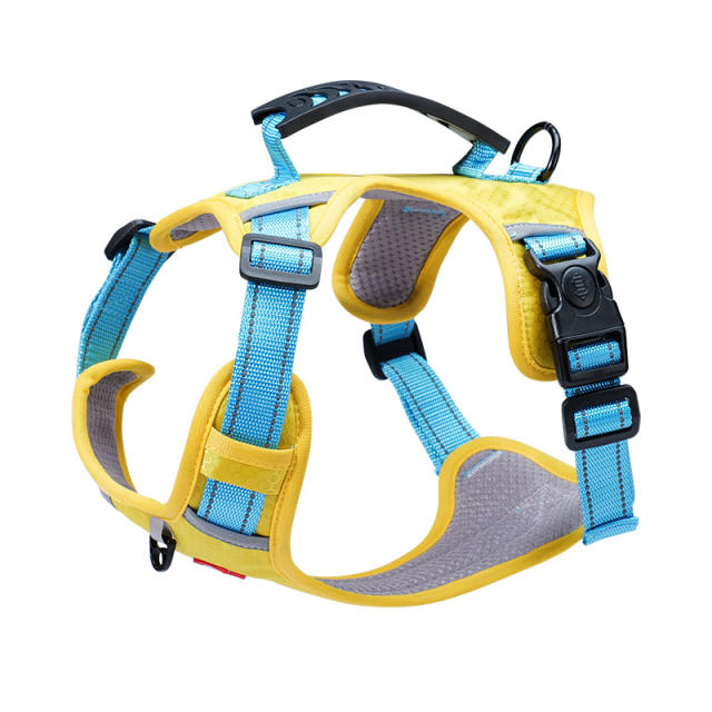 Small-Sized Adjustable Harnesses Vest Dog Leash Dog Walking Leashes PQ524