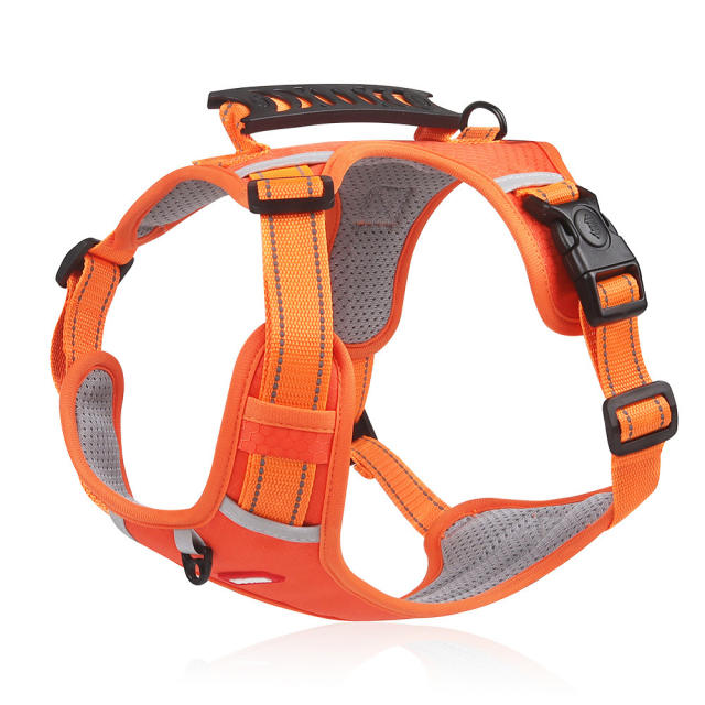 Small-Sized Adjustable Harnesses Vest Dog Leash Dog Walking Leashes PQ524