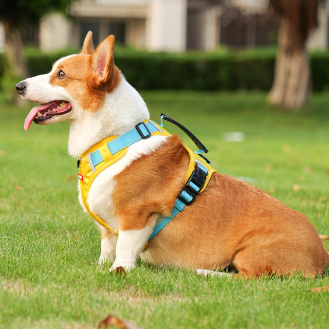 Small-Sized Adjustable Harnesses Vest Dog Leash Dog Walking Leashes PQ524