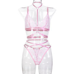 Sexy Lace Lingerie For Women Wholesale Female Bra Sets PQ3614