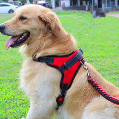 Pet Dog Chest Strap Explosion-Proof Vest Dog Tank Top PQ-XBD-02