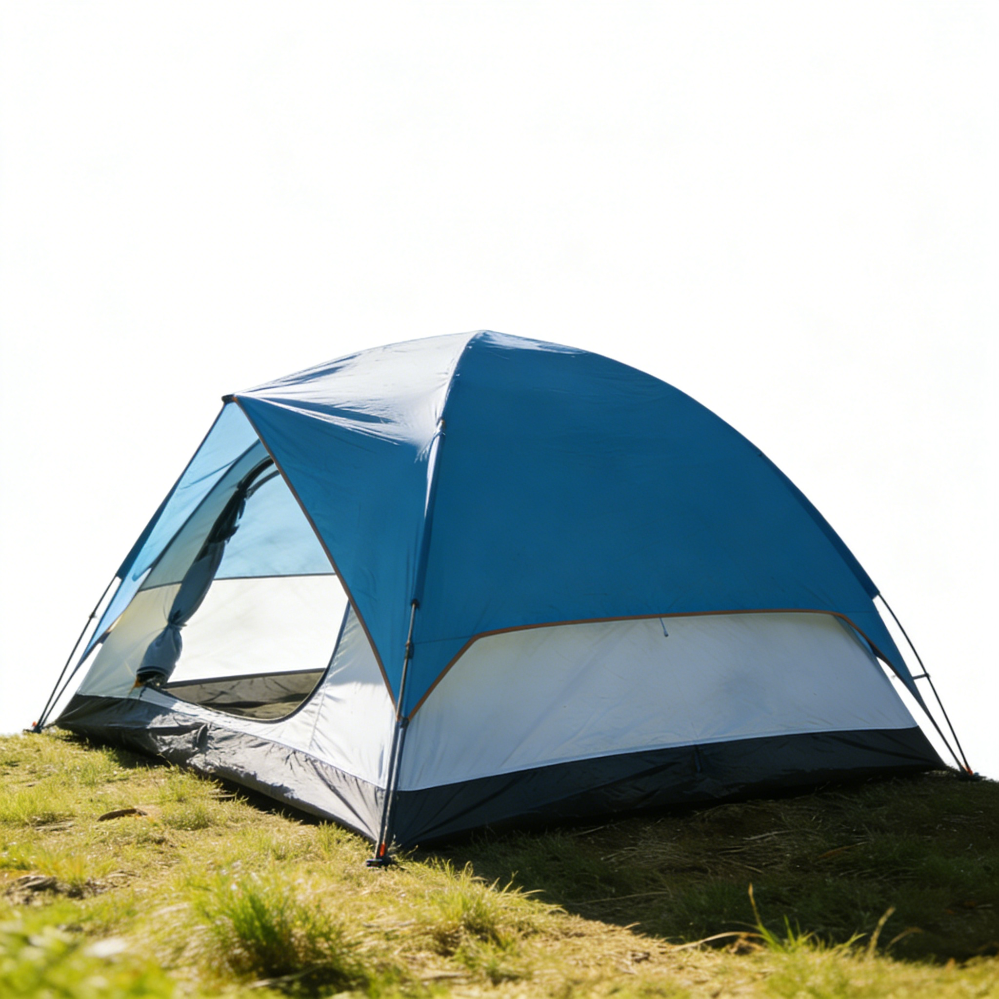 Mountaineering tent