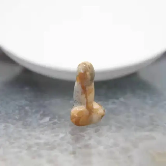Carving penis