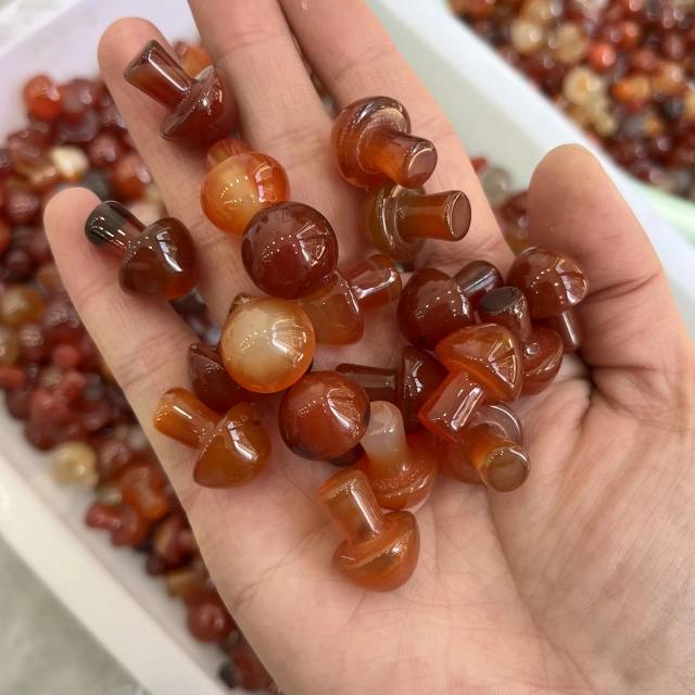 Carnelian mushroom