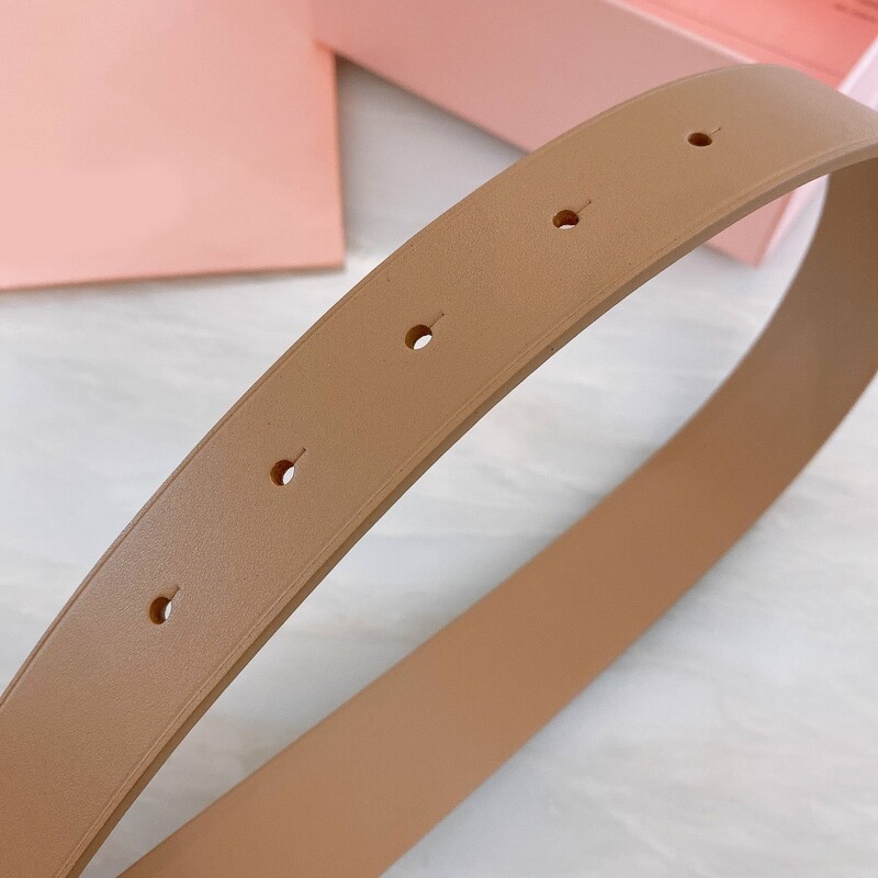 Full head Layer double sided cowhide needle type belt miumiu single loop waist pin buckle Belt 3.0CM simple suit denim belt