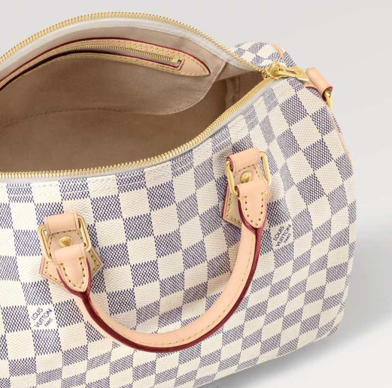 QCOFFICIAL | LV Louis Vuitton Speedy 25 handbags pillow bag