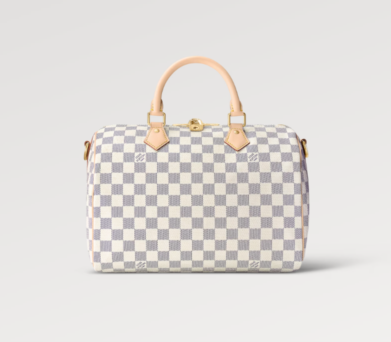 QCOFFICIAL | LV Louis Vuitton Speedy 25 handbags pillow bag