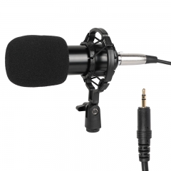 Accessory for microphone