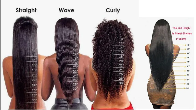 hair length chart