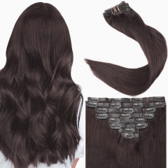 Seamless Straight PU Clip In Extensions Set Of 6Pcs/12Pcs 16-24 Inch Full Head PU Colored Weft Extensions High Quality Human Hair