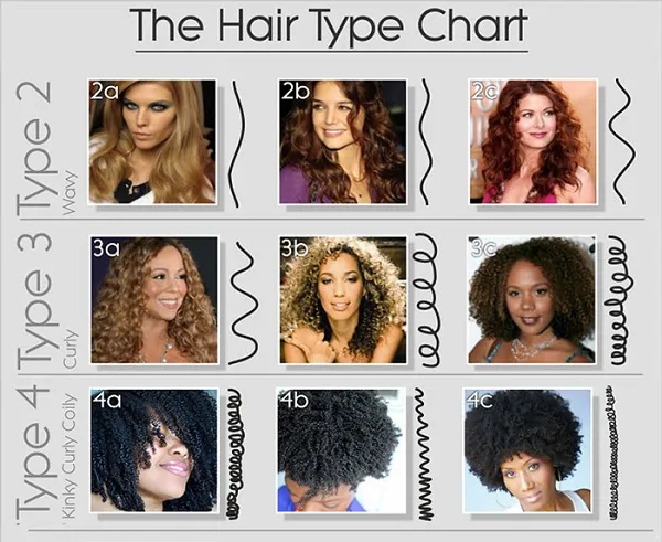 the hair type system