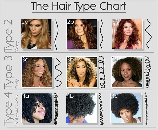 the hair type chart