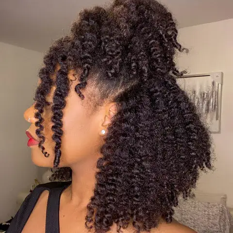 ponytail with twists