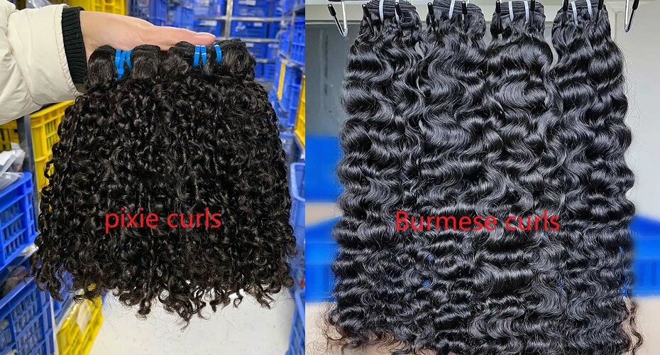 pixie curls vs burmese curls