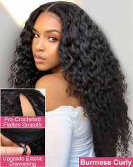 Burmese Curly