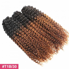#T1B/30