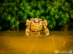 Newage NA H41D Jones Beachcomber Golden Lagoon Version