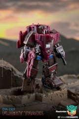 Dr.Wu DW-ES01 Flight Trakck Flywheels