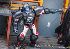 [Pre-Order] Yolopark AMK Series Transformers: Beast Wars Optimus Primal Model Kit