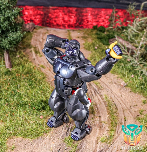 [Pre-order] Robot Toys RT-07 Caesar Beast Wars: Transformer Optimus Primal 2.0