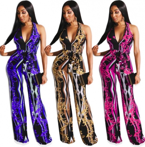 Charming Printed jumpsuit