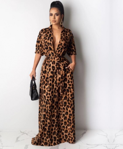 Charming Leopard print dress