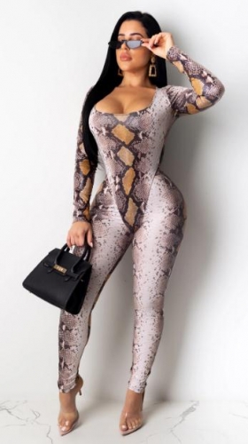 Charming Snake print two-piece suit