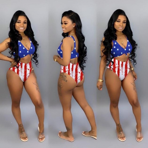 Charming Flag printed bikini set