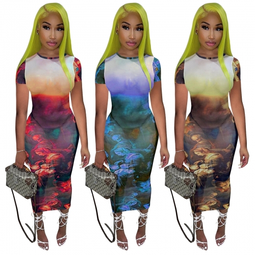 Charming See-through mesh oil painting print dress