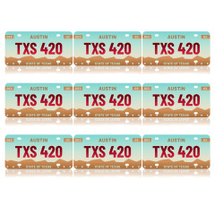 New Arrival Sublimation License Plate Metal Aluminum Car Tag Custom Picture Design for Blank License Plates