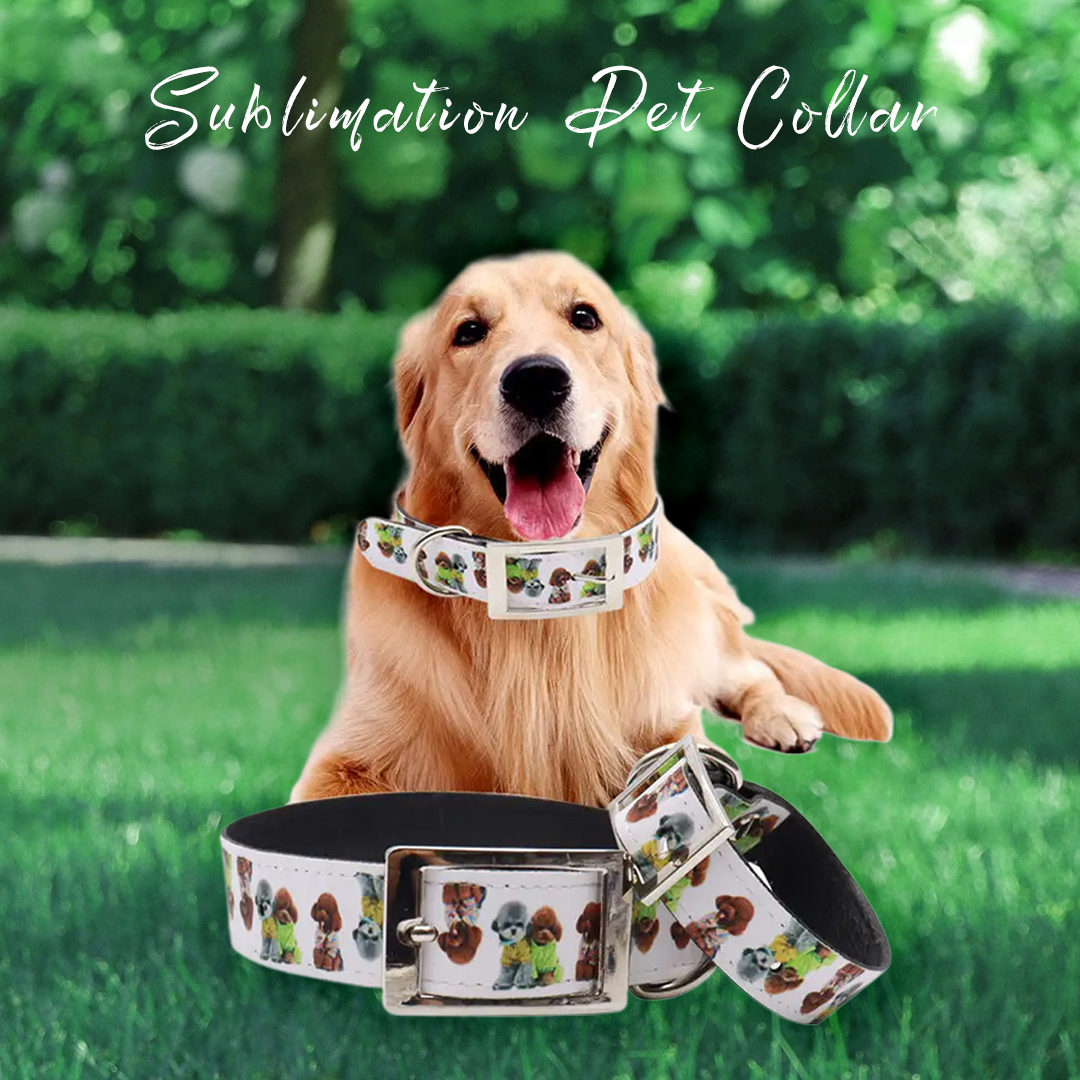 Custom Sublimation Pet Collar Blank Plain Personalized with Adjustable Quick Release Buckle Dog Collar Cat Collar