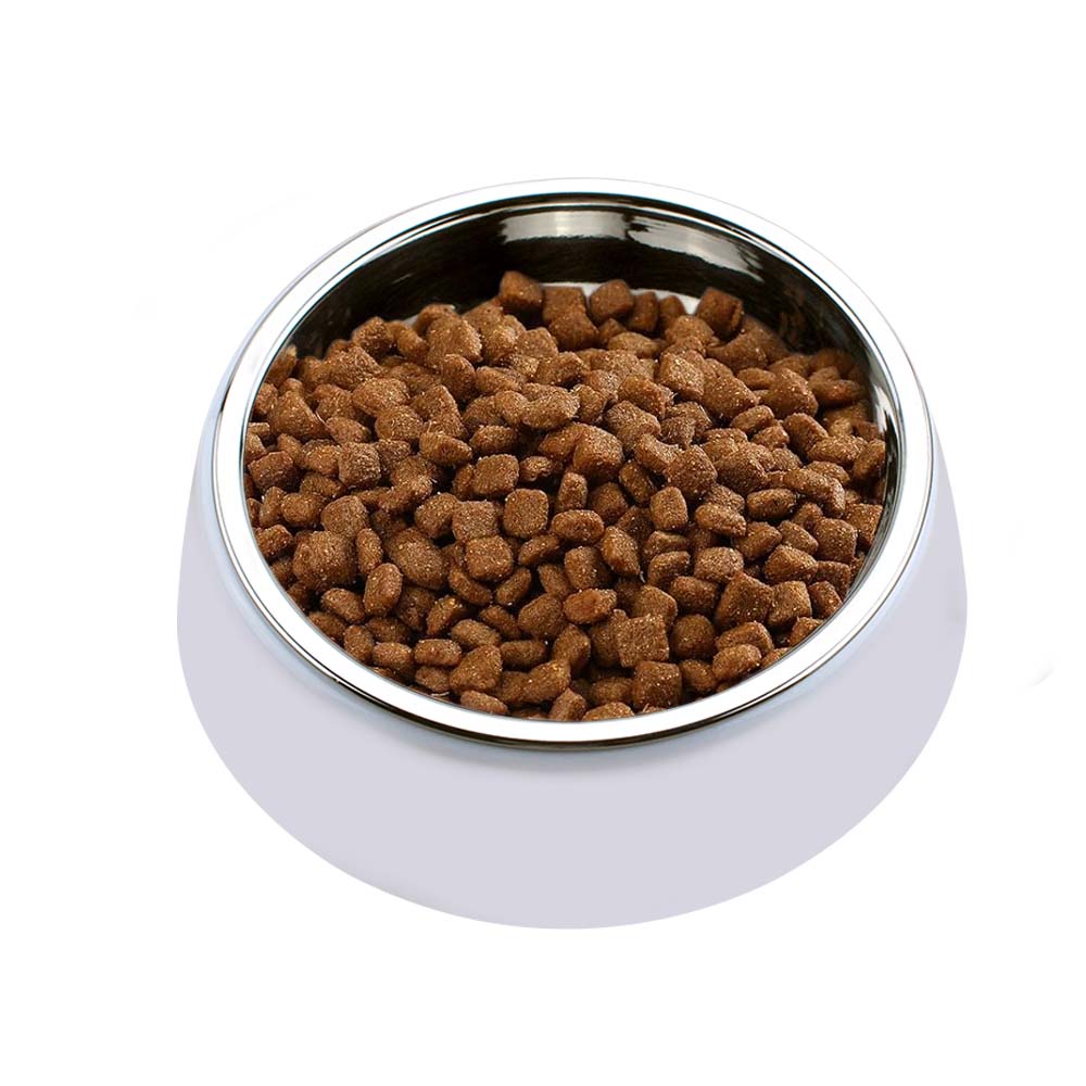 Sublimation Printable Pet Bowl with Stainless Steel Bowl Food Bowl Dishes Water Bowl Cat Feeder Bowl for Small Medium Puppy Dogs Pets