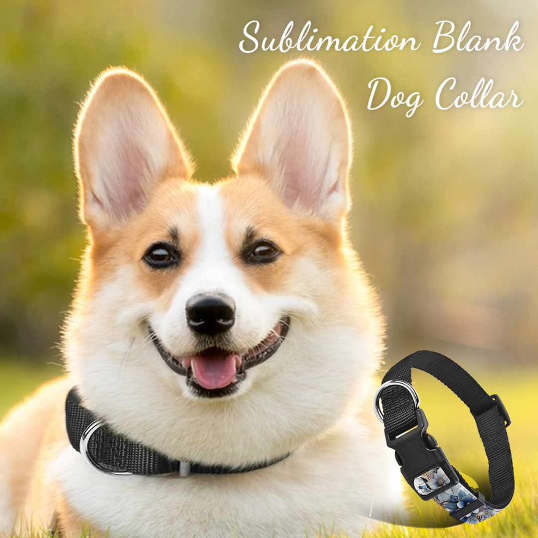 Custom Sublimation Blank Adjustable Dog Collar With Different Size Nylon Dog Collar