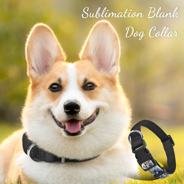 Custom Sublimation Blank Adjustable Dog Collar With Different Size Nylon Dog Collar