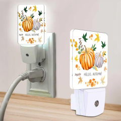 New Arrival Sublimation Acrylic LED Night Light with 6 Shapes Home Custom  Decoration Blank Pendant Lights Light-Sensing Night Light