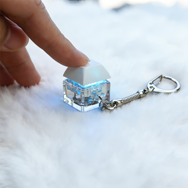 Sublimation Blank Stress Relief Push Button Keychain LED Light Up Keyring 3 Designs Regular & Glowing Version for Personalized Gift DIY Craft