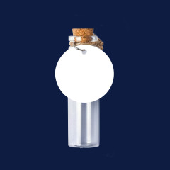 Sublimation Message in a Bottle Custom Printable Wish Bottle with Aluminum Tag Personalized Gift & Travel Souvenir